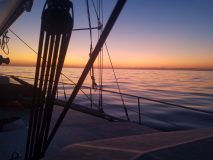 20190925_201906_201906-scaled