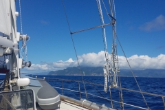 20200124_114329_114329-scaled