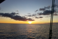 20200126_175956_175956