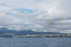 20200123_134918_134919