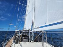 20230408_153948-scaled