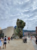 Guggenheim Museum - 3