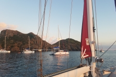 20200223_181009_181009-scaled