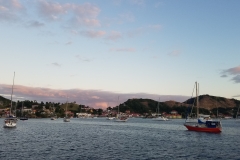 20200130_175655_175655