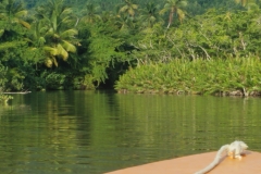 20200127_162141_162141