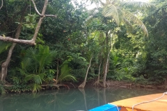 20200127_162732_162732