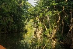 20200127_162750_162750