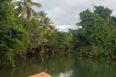 20200127_163207_163208