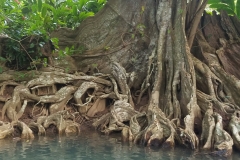 20200127_165125_165125