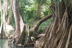 20200127_165157_165157