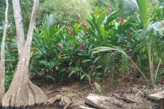 20200127_165502_165503