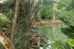 20200127_171229_171230