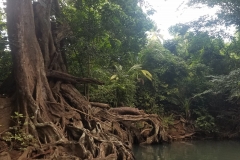 20200127_171746_171746