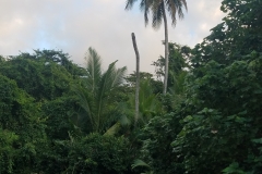 20200127_173601_173601