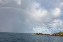 20200205_074706_074706