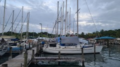 20210524_182306-Copy