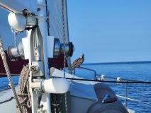 20230327_091108-scaled