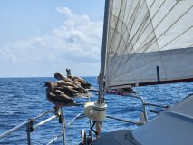 20230331_144734-scaled