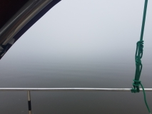 20200526_074158_074158