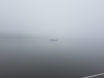 20200526_074216_074216