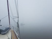 20200526_074254_074254