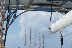 20200112_1253431-scaled