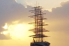 20200112_1740551-scaled