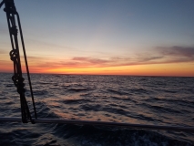 20200509_201701_201701