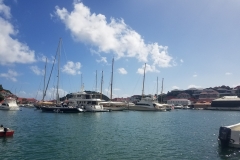 20200221_150344_150344-scaled