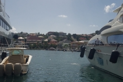 20200221_150501_150501-scaled