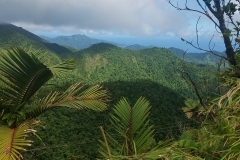 20200125_113950_113950