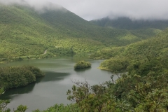 20200125_120133_120134