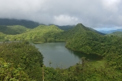 20200125_123226_00001