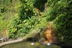 20200125_134452_134452