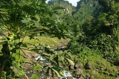 20200125_145559_00001