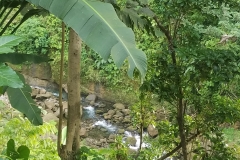 20200125_170550_170550