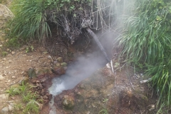 20200125_172758_172758